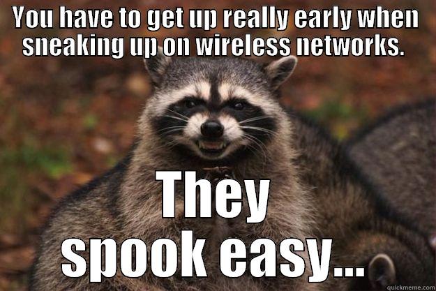 Catchy Racoon - YOU HAVE TO GET UP REALLY EARLY WHEN SNEAKING UP ON WIRELESS NETWORKS.  THEY SPOOK EASY... Evil Plotting Raccoon