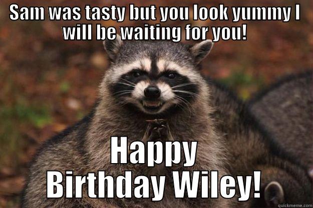 Wiley Birthday  - SAM WAS TASTY BUT YOU LOOK YUMMY I WILL BE WAITING FOR YOU! HAPPY BIRTHDAY WILEY! Evil Plotting Raccoon