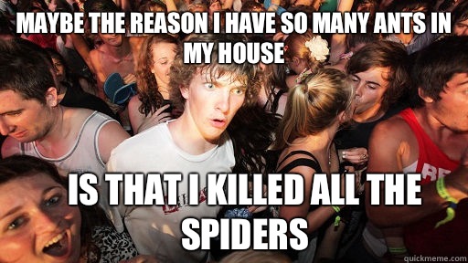 Maybe the reason I have so many ants in my house Is that I killed all the spiders  Sudden Clarity Clarence