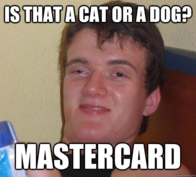 is that a cat or a dog? mastercard - is that a cat or a dog? mastercard  10 Guy