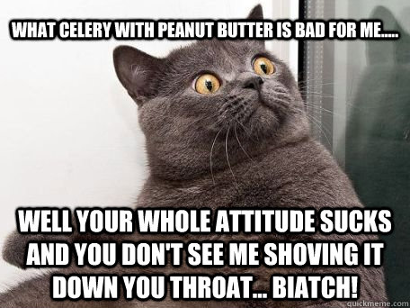 What celery with peanut butter is bad for me..... Well your whole attitude sucks and you don't see me shoving it down you throat... biatch!  conspiracy cat