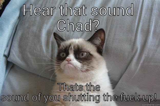 HEAR THAT SOUND CHAD? THATS THE SOUND OF YOU SHUTTING THE FUCK UP! Grumpy Cat