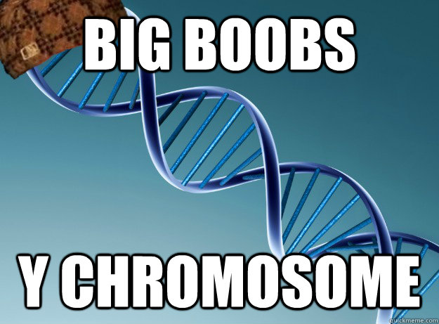 Big boobs Y chromosome  Scumbag Genetics