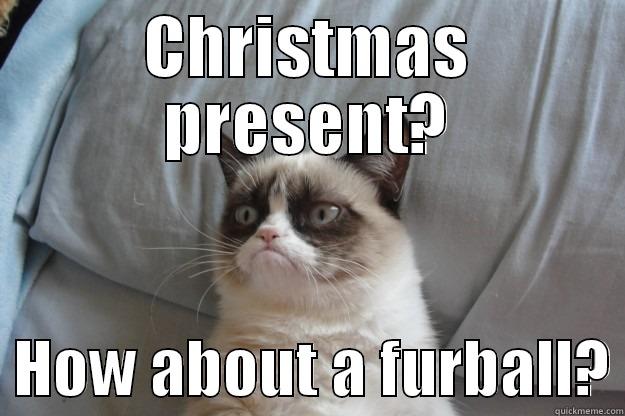 CHRISTMAS PRESENT?   HOW ABOUT A FURBALL? Grumpy Cat