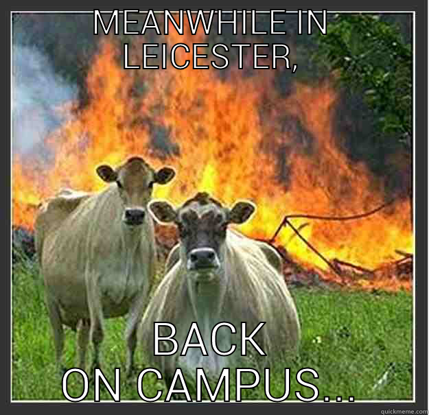 MEANWHILE IN LEICESTER, BACK ON CAMPUS... Evil cows