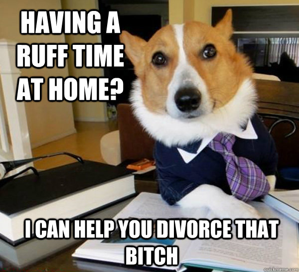 Having a ruff time at home? I can help you divorce that bitch  Lawyer Dog