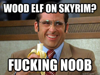 Wood elf on skyrim? Fucking noob - Wood elf on skyrim? Fucking noob  Brick Tamland