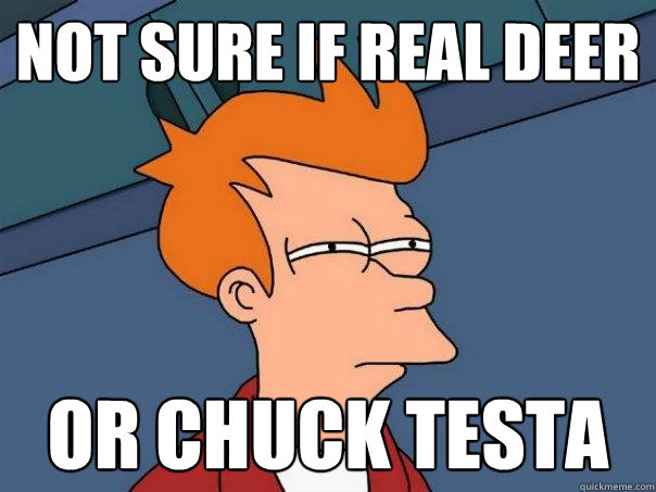 Not sure if real deer Or Chuck Testa - Not sure if real deer Or Chuck Testa  Futurama Fry