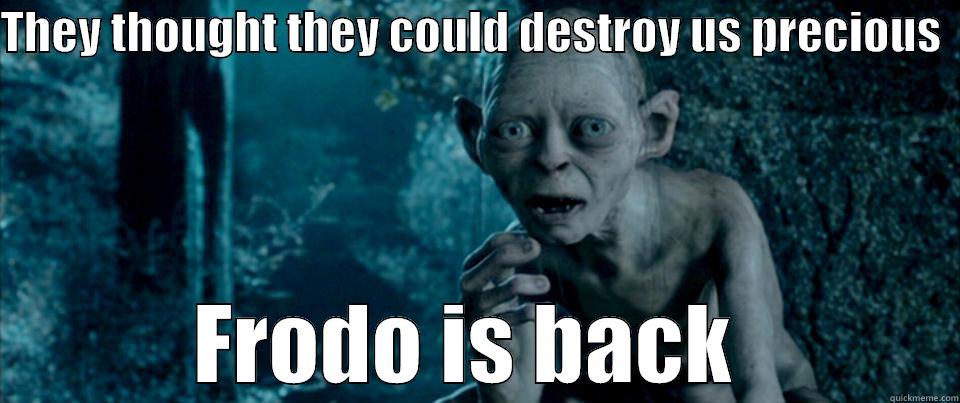 THEY THOUGHT THEY COULD DESTROY US PRECIOUS   FRODO IS BACK  Misc