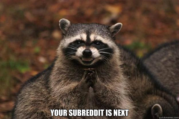  your subreddit is next   Evil Plotting Raccoon