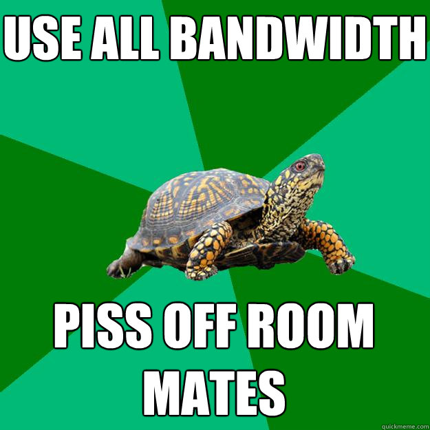 Use all bandwidth Piss off room mates  Torrenting Turtle