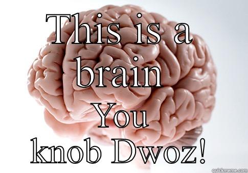 THIS IS A BRAIN YOU KNOB DWOZ! Scumbag Brain