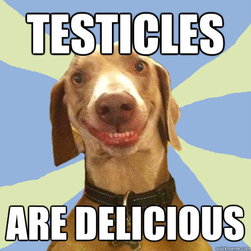 testicles are delicious  Disgusting Doggy