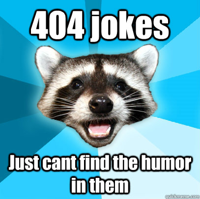 404 jokes Just cant find the humor in them - 404 jokes Just cant find the humor in them  Lame Pun Coon