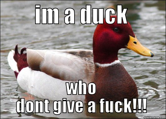         IM A DUCK          WHO DONT GIVE A FUCK!!! Malicious Advice Mallard