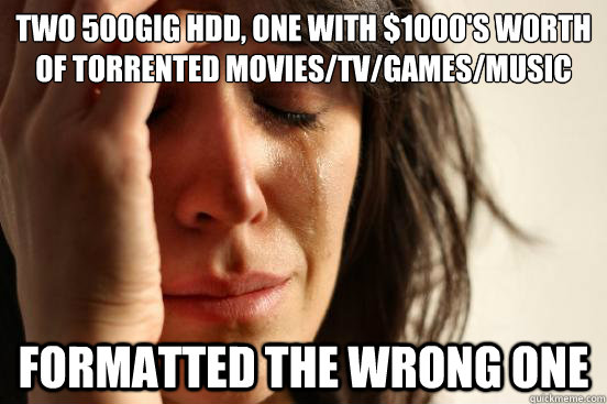 two 500gig HDD, one with $1000's worth of torrented movies/tv/games/music formatted the wrong one  First World Problems