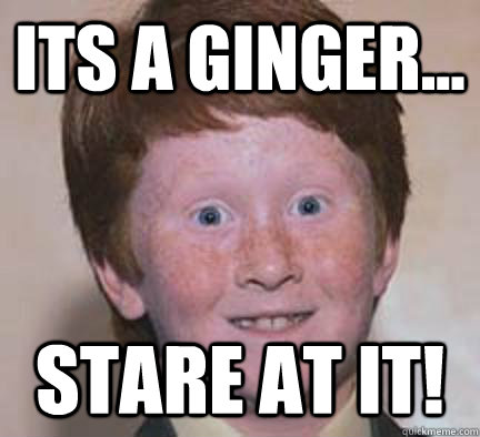its a ginger... stare at it! - its a ginger... stare at it!  Over Confident Ginger