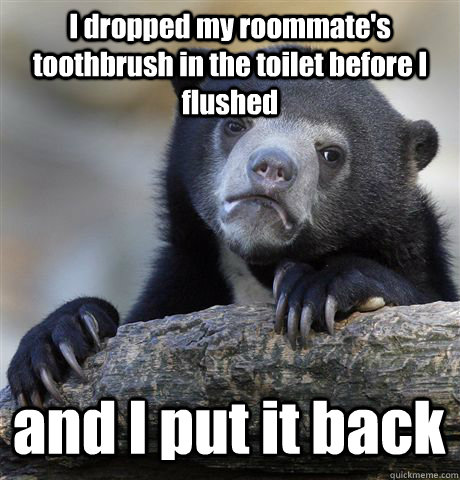 I dropped my roommate's toothbrush in the toilet before I flushed and I put it back  Confession Bear