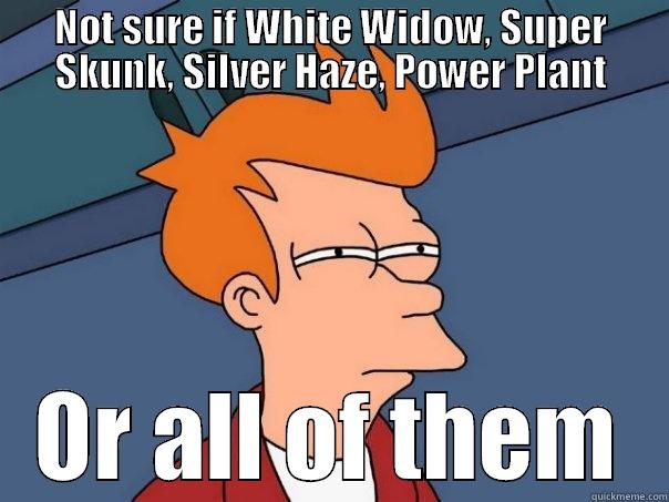 NOT SURE IF WHITE WIDOW, SUPER SKUNK, SILVER HAZE, POWER PLANT OR ALL OF THEM Futurama Fry