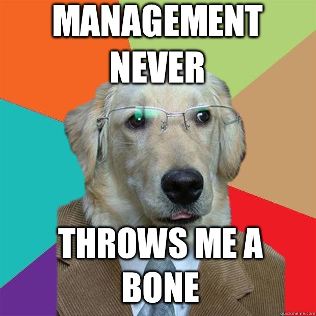 Management Never Throws me a bone  Business Dog