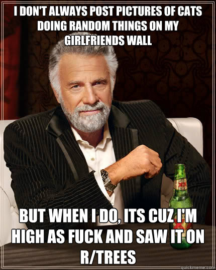 I don't always post pictures of cats doing random things on my girlfriends wall But when I do, its cuz i'm high as fuck and saw it on r/trees  Dos Equis man