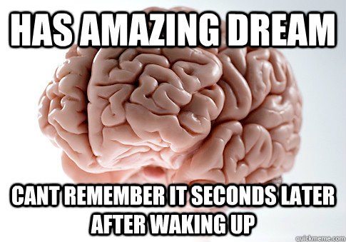 has amazing dream cant remember it seconds later after waking up  Scumbag Brain