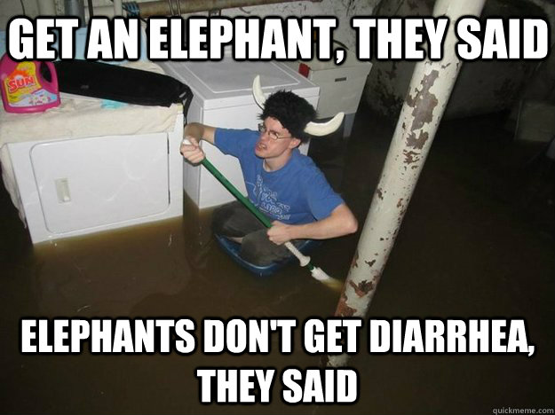 Get an elephant, they said Elephants don't get diarrhea, they said - Get an elephant, they said Elephants don't get diarrhea, they said  Do the laundry they said