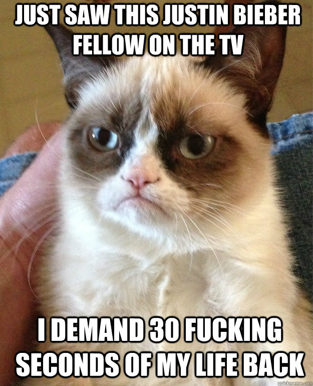 just saw this justin bieber fellow on the tv i demand 30 fucking seconds of my life back  Grumpy Cat