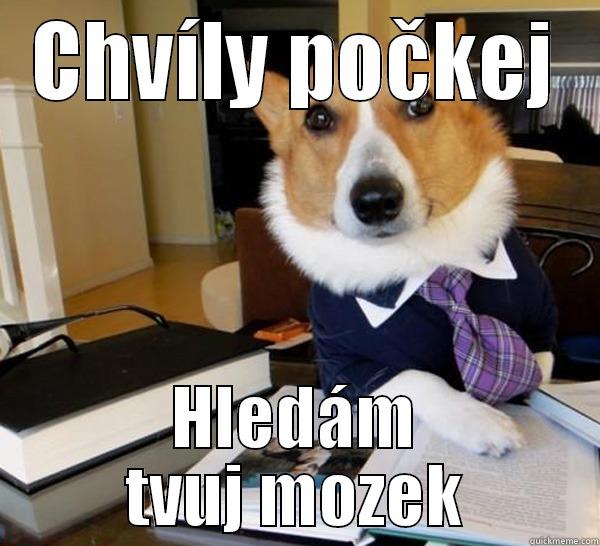 CHVÍLY POČKEJ HLEDÁM TVUJ MOZEK Lawyer Dog