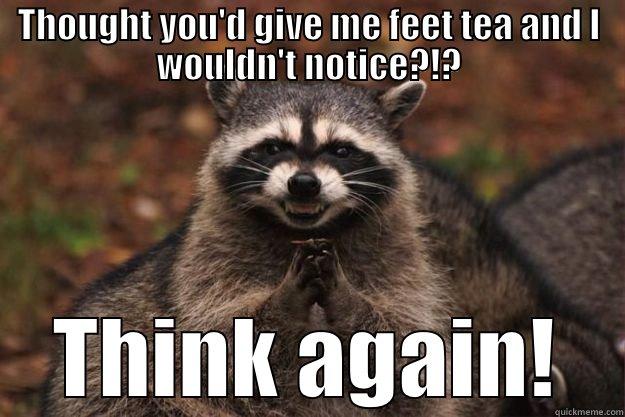 Rallys tea - THOUGHT YOU'D GIVE ME FEET TEA AND I WOULDN'T NOTICE?!? THINK AGAIN! Evil Plotting Raccoon