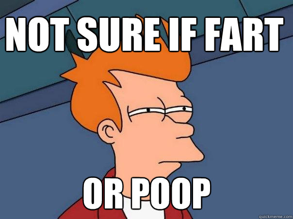 Not sure if fart or poop  Futurama Fry