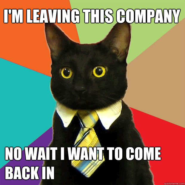 I'm leaving this company no wait I want to come back in  Business Cat