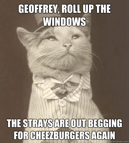 geoffrey, roll up the windows the strays are out begging for cheezburgers again   Aristocat