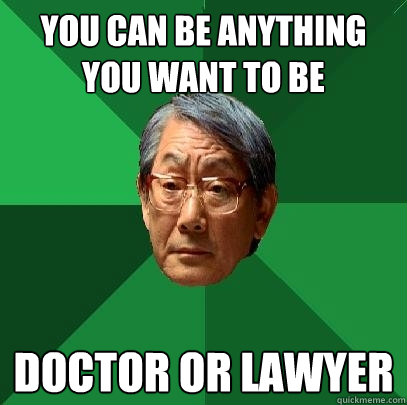 You can be anything you want to be Doctor or lawyer  High Expectations Asian Father