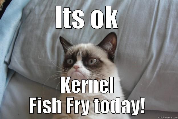 ITS OK KERNEL FISH FRY TODAY! Grumpy Cat