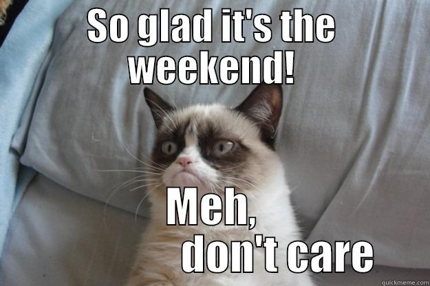 grumpy cat - SO GLAD IT'S THE WEEKEND! MEH,                 DON'T CARE Grumpy Cat