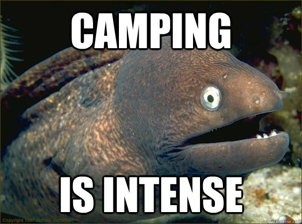 camping is intense  Bad Joke Eel