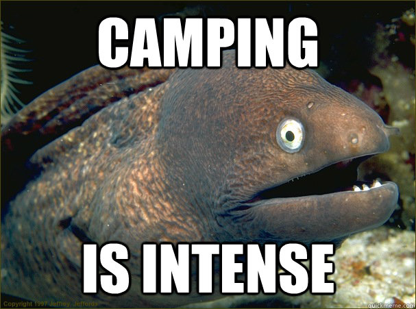 camping is intense - camping is intense  Bad Joke Eel