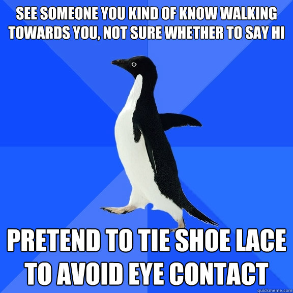 see someone you kind of know walking towards you, not sure whether to say hi pretend to tie shoe lace to avoid eye contact  Socially Awkward Penguin