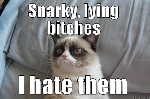 SNARKY, LYING BITCHES I HATE THEM Grumpy Cat