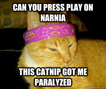 can you press play on narnia this catnip got me paralyzed  