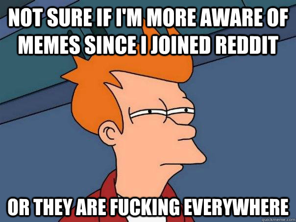 not sure if i'm more aware of memes since i joined reddit Or they are fucking everywhere   Futurama Fry