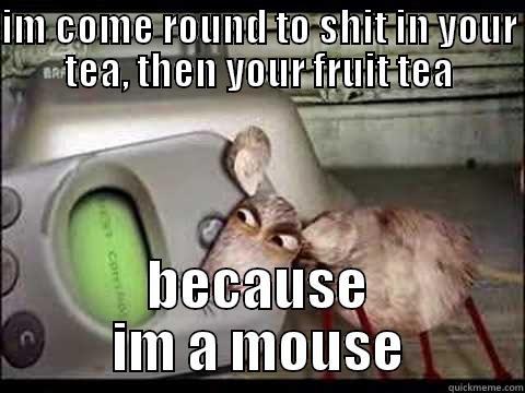 IM COME ROUND TO SHIT IN YOUR TEA, THEN YOUR FRUIT TEA BECAUSE IM A MOUSE Misc