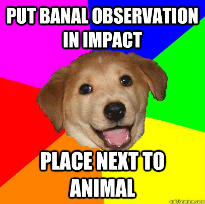 PUT BANAL OBSERVATION IN IMPACT PLACE NEXT TO ANIMAL  Advice Dog