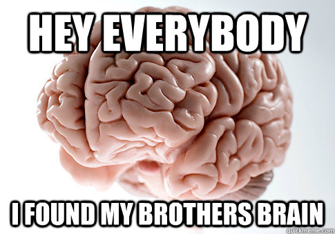 hey everybody  i found my brothers brain   Scumbag Brain