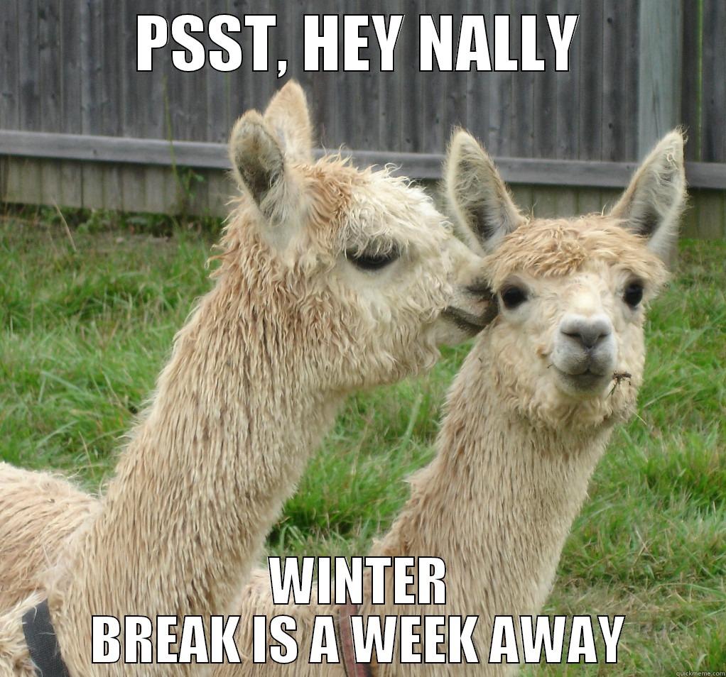 PSST, HEY NALLY WINTER BREAK IS A WEEK AWAY Misc