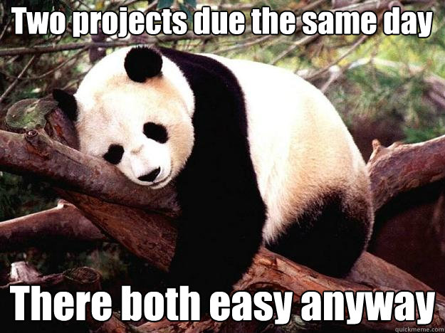 Two projects due the same day There both easy anyway  Procrastination Panda