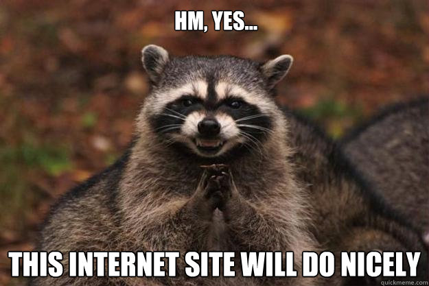 Hm, Yes... This internet site will do nicely  Evil Plotting Raccoon