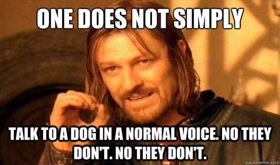 One Does Not Simply Talk to a dog in a normal voice. no they don't. no they don't.  Boromir