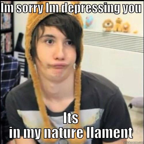 Dan the llama - IM SORRY IM DEPRESSING YOU  ITS IN MY NATURE LLAMENT Misc